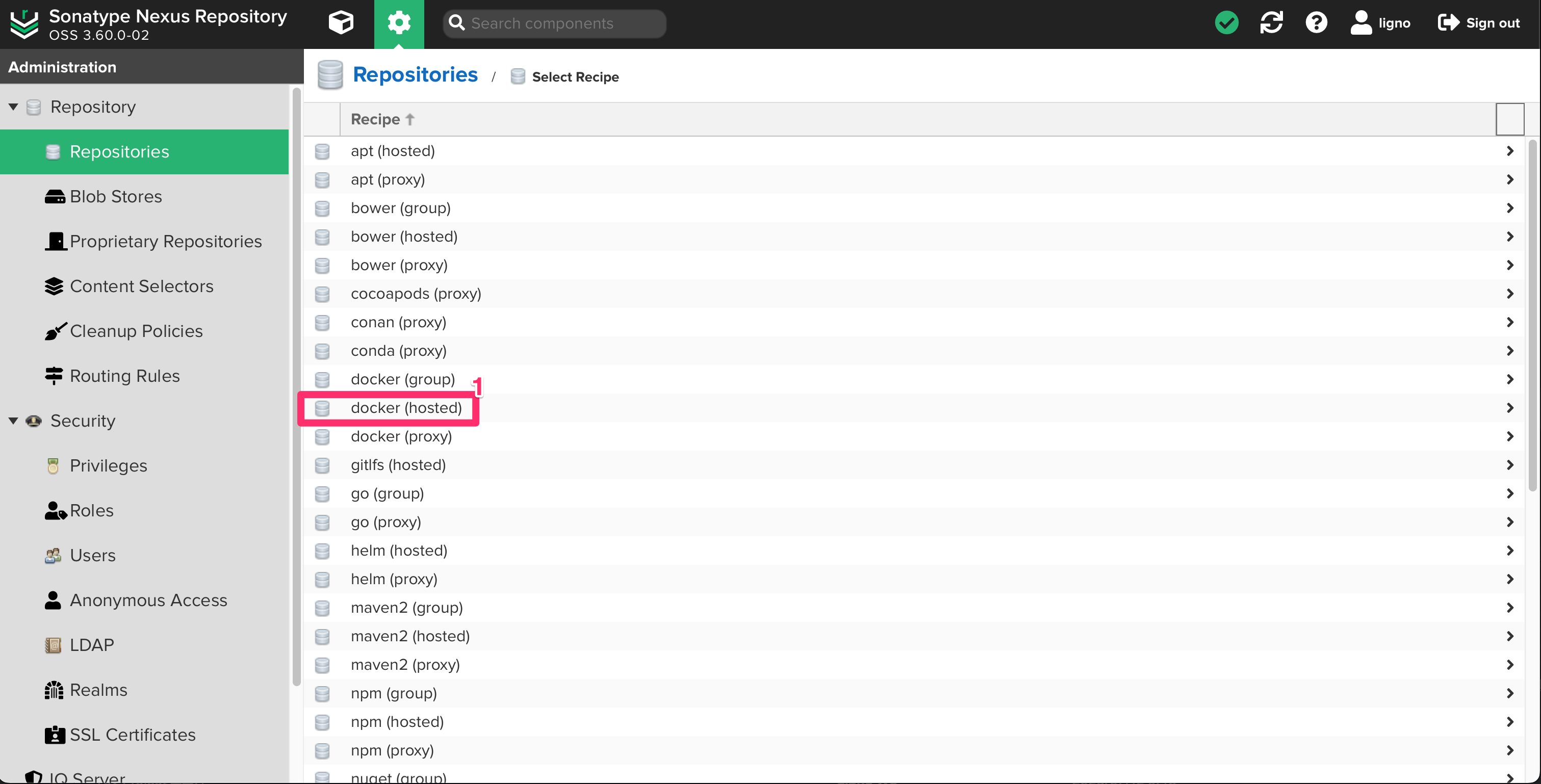 docker(hosted) 선택
