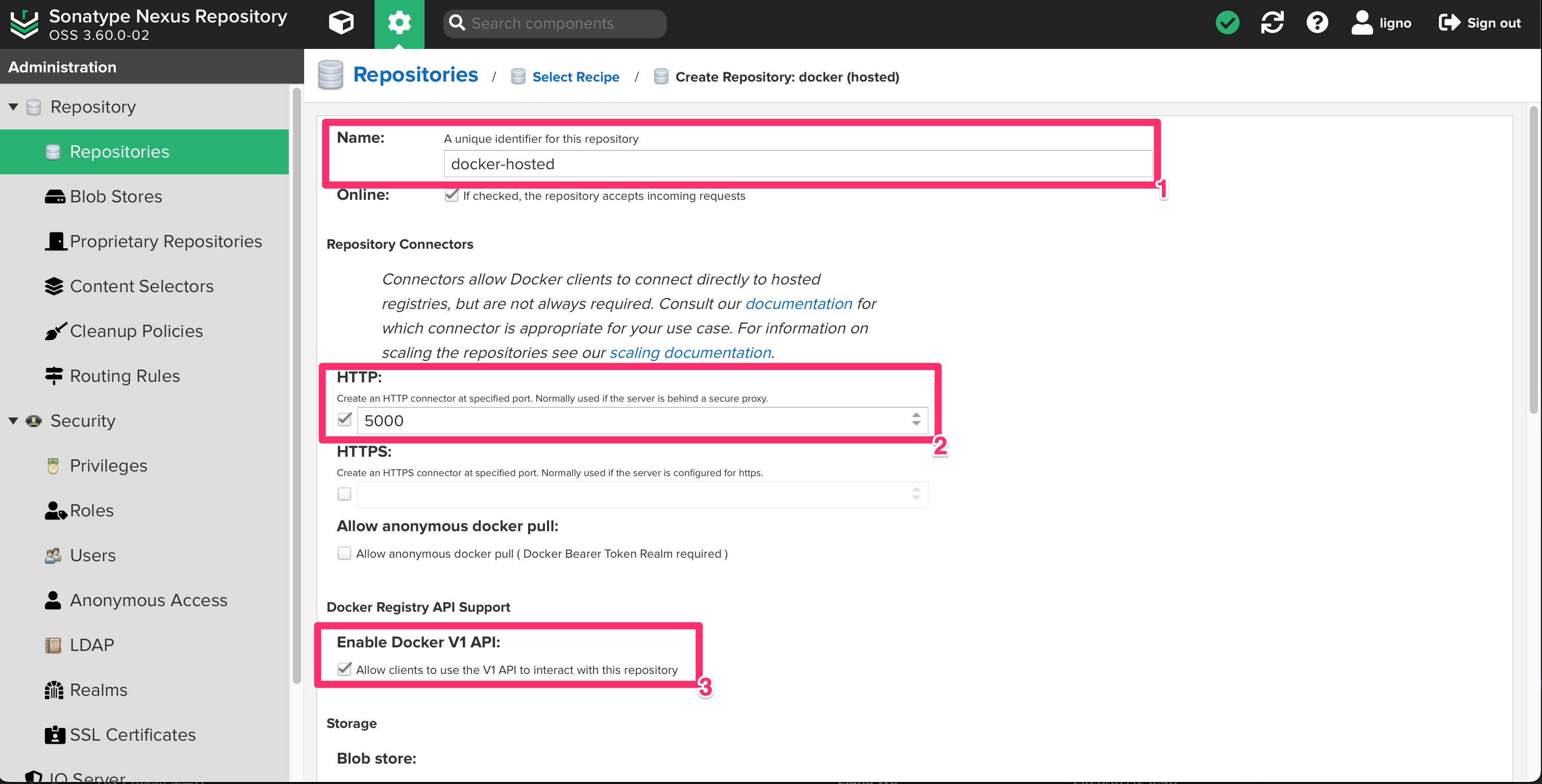 docker-hosted 정보 설정