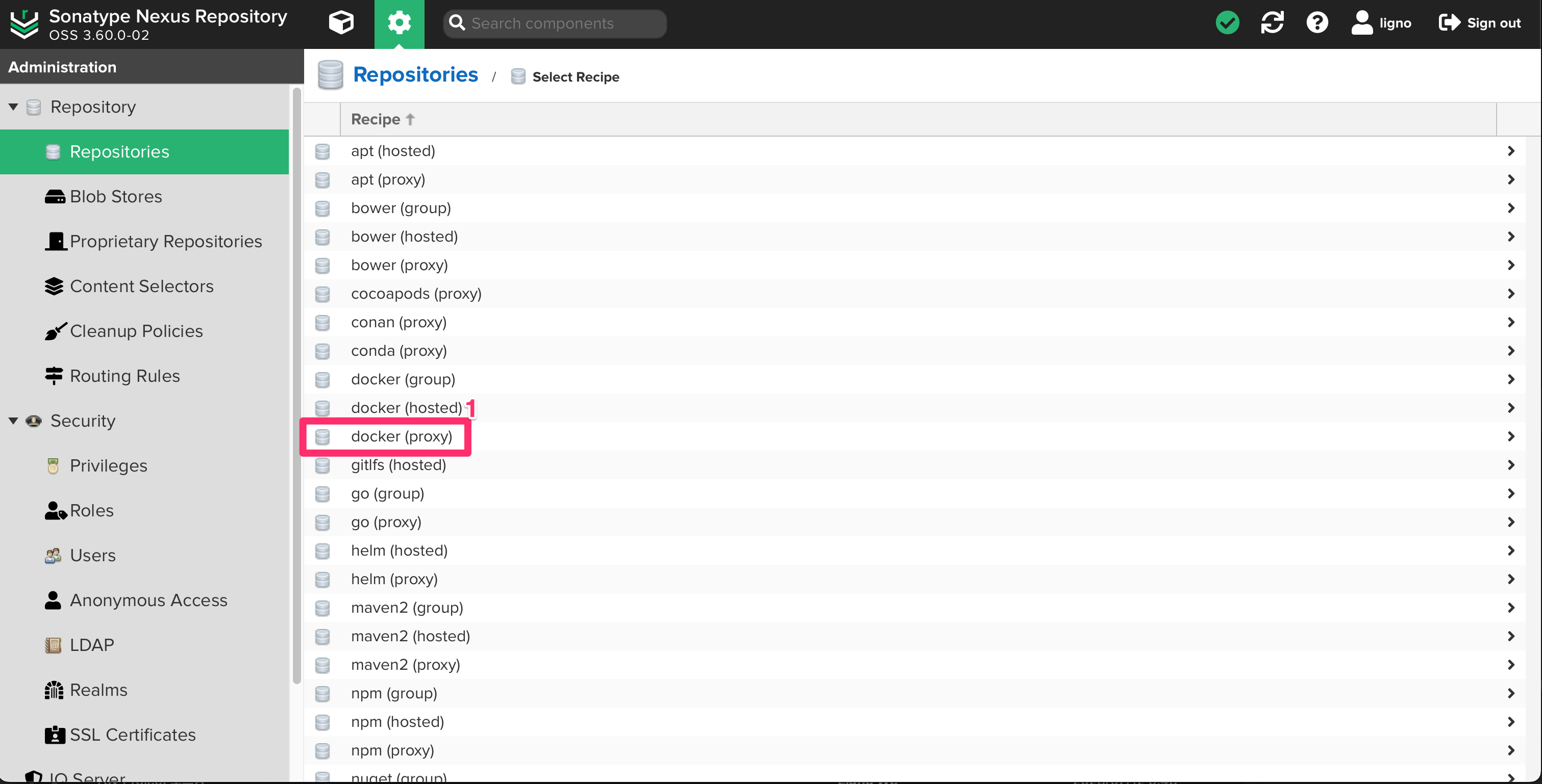 docker(proxy) 선택