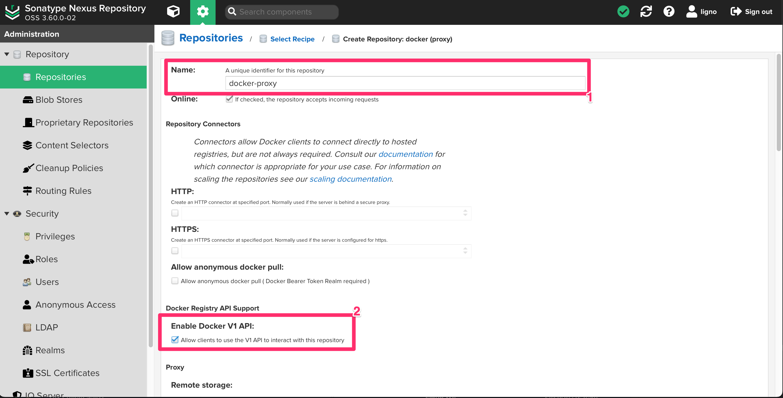 docker-proxy 정보 설정