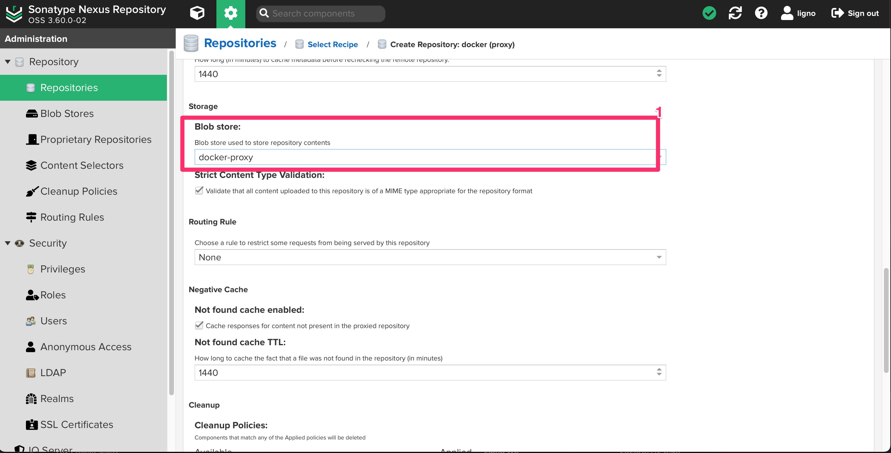 docker-proxy 정보 설정